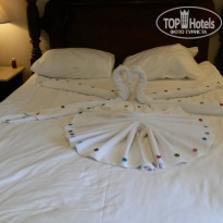 фото из отзыва ID 1572948