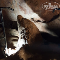 фото из отзыва ID 1573065