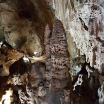 фото из отзыва ID 1573065