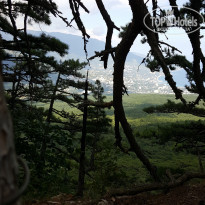 фото из отзыва ID 1573065