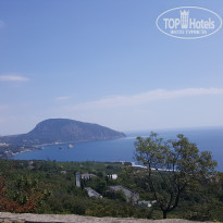 фото из отзыва ID 1573065