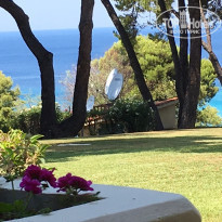 фото из отзыва ID 1573155