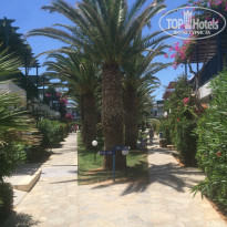 фото из отзыва ID 1573288