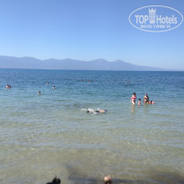 фото из отзыва ID 1573332