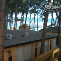 фото из отзыва ID 1573332