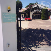 фото из отзыва ID 1573066