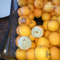 фото из отзыва ID 1573509