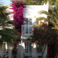 фото из отзыва ID 1573552