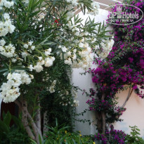 фото из отзыва ID 1573552