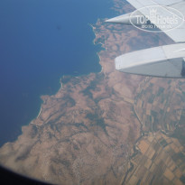 фото из отзыва ID 1573712