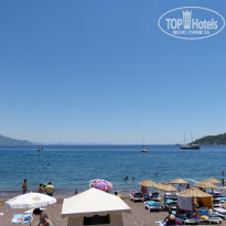 фото из отзыва ID 1572913