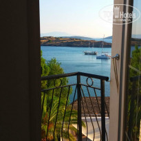 фото из отзыва ID 1573763