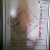 фото из отзыва ID 1573829