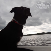 фото из отзыва ID 1573976