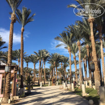 фото из отзыва ID 1574135