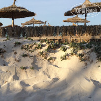 фото из отзыва ID 1574269