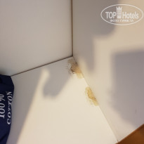 фото из отзыва ID 1574373