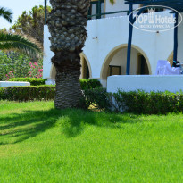 фото из отзыва ID 1574455