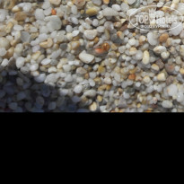 фото из отзыва ID 1574458