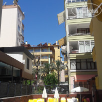 фото из отзыва ID 1574458