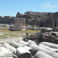 фото из отзыва ID 1572987