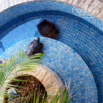 фото из отзыва ID 1574562