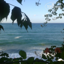 фото из отзыва ID 1574853