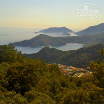 фото из отзыва ID 1573799