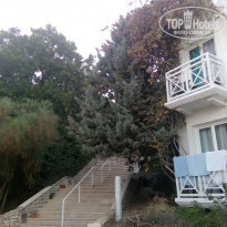 фото из отзыва ID 1574918