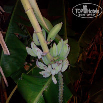 фото из отзыва ID 1574918