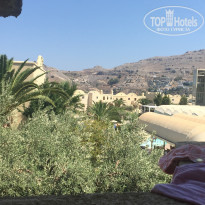 фото из отзыва ID 1574922