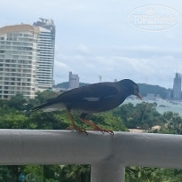 фото из отзыва ID 1575045