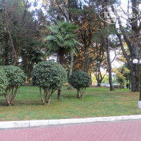 фото из отзыва ID 1575117