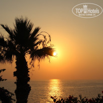 фото из отзыва ID 1575158