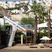 фото из отзыва ID 1575162