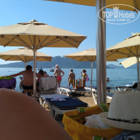 фото из отзыва ID 1575171