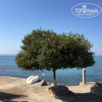 фото из отзыва ID 1575175