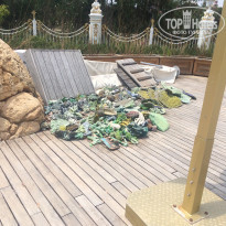 фото из отзыва ID 1575261