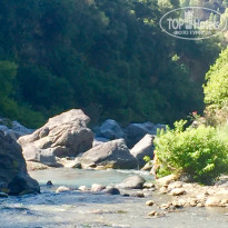 фото из отзыва ID 1573926