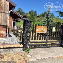 фото из отзыва ID 1573994