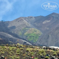 фото из отзыва ID 1573994