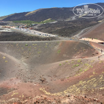 фото из отзыва ID 1573994