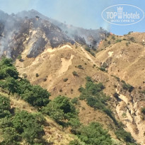 фото из отзыва ID 1573994