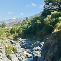 фото из отзыва ID 1573994