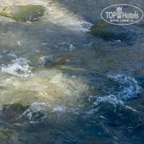 фото из отзыва ID 1573994