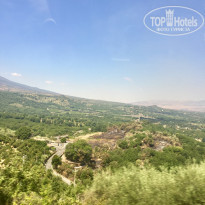 фото из отзыва ID 1573994