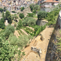 фото из отзыва ID 1573994