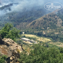 фото из отзыва ID 1573994