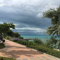 фото из отзыва ID 1575676