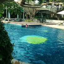 фото из отзыва ID 1575710